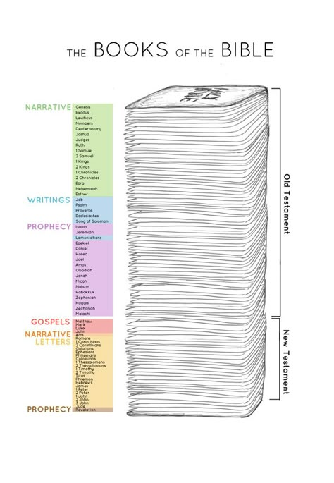 Bible Genealogy, Bible Timeline, Tell Me A Story, Bible Mapping, Understanding The Bible, Bible Study Tips, Bible Study Notebook, Bible History, Bible Study Lessons