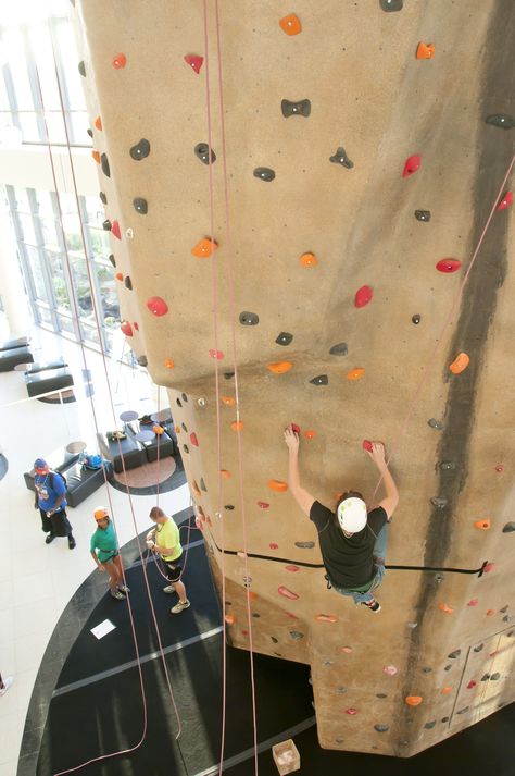 The rock wall inside the Wellness Center is one of the area's only climbing facilities. Climbing Date, Rock Climbing Gear, Climbing Gear, Rock Wall, Auburn University, Wellness Center, Rock Climbing, My Happy Place, Auburn