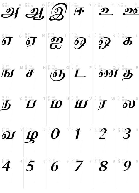 Tamil Fonts Stylish, Tamil Calligraphy Fonts, Tamil Letters Designs, Tamil Font Design, Tamil Handwriting, Tamil Calligraphy, Indian Typography, Tamil Tattoo, Learn Tamil