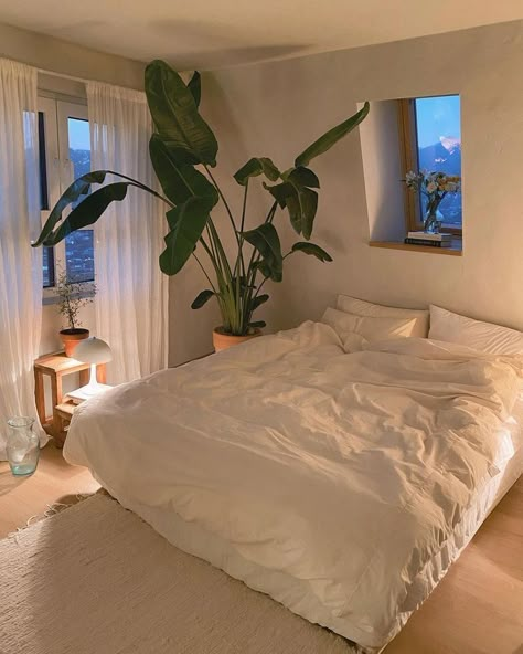 Minimalist Bedroom With Carpet, Minilistic Bedroom, Room Inspiration Bedroom Minimalistic, Large Bedroom Ideas, Plants For Bedroom, Plants In Bedroom, Minimalistic Bedroom, Plants Bedroom, Room Decor Minimalist