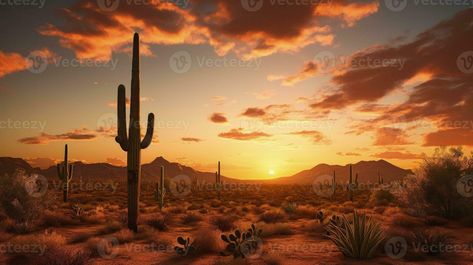 sonora Desierto puesta de sol en fénix Arizona presentando un grande saguaro cactus. silueta concepto Saguaro Cactus, Arizona, Cactus, Anime, Quick Saves