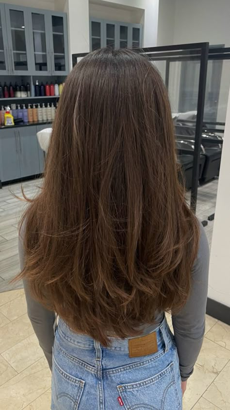 Layered hairstyles trim medium length haircut brown hair transformation Medium Length Haircut Brown, Medium Length Haircut Brown Hair, Aesthetic Layered Hair, Brown Hair Transformation, Aesthetic Healthy Hair, Layered Haircuts Straight Hair, Long Layers Hair, Hair Inspo Long, Haircut Brown Hair