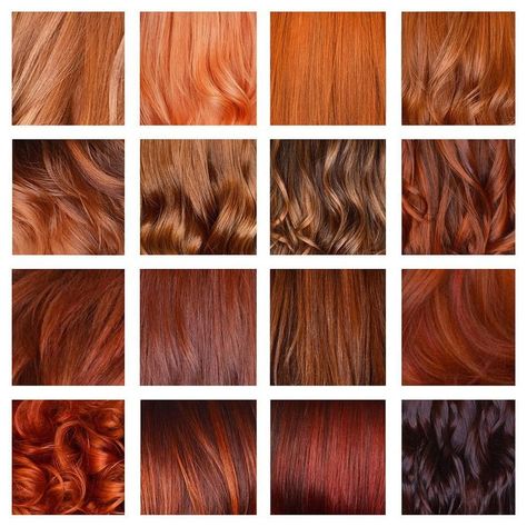 Wella Education on Instagram: “Client: I want to be a #redhead. Us: Define "red." #Hairdressers, how do you determine the right red for your clients? We left our…” Balayage Auburn, Auburn Balayage, Shades Of Red Hair, Colored Hair Tips, Brown Curls, Dark Auburn, G Hair, Ginger Hair Color, Copper Hair Color