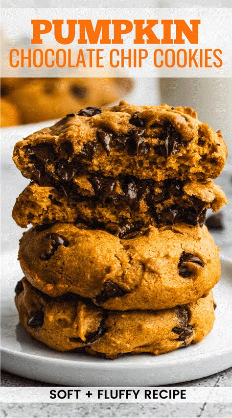 Easy Pumpkin Chocolate Chip Cookies, Pumpkin Chocolate Chip Cookies Easy, Soft Pumpkin Chocolate Chip Cookies, Pumpkin Chocolate Chip Cookies Recipe, Chocolate Chip Pumpkin Cookies, Cookies With Coconut, Ranger Cookies, Spiced Cookies, Desserts With Chocolate Chips