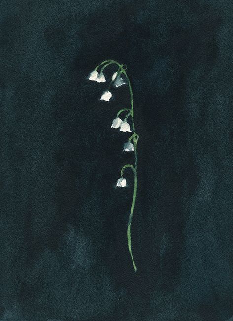 Watercolor Paints, Lily Of The Valley, The Valley, Watercolour Painting, Watercolor Paper, Borders, Lily