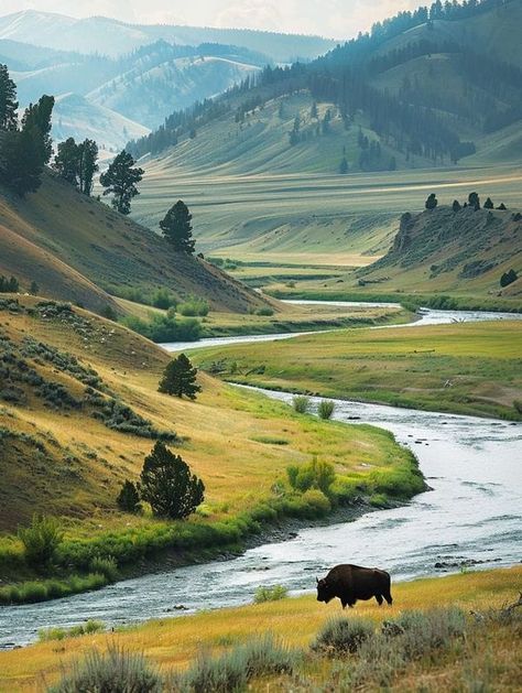 Montana Yellowstone, David Wilson, Yellowstone River, Missouri River, American West, Scenic Landscape, Yellowstone National Park, Amazing Nature, Rocky Mountains