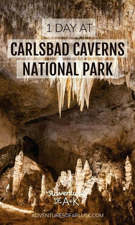 usa national parks vacation road trip ideas in the us New Mexico Road Trip, Travel New Mexico, Guadalupe Mountains National Park, Carlsbad Caverns National Park, Carlsbad Caverns, National Parks Photography, Important Things To Know, National Park Vacation, National Park Road Trip