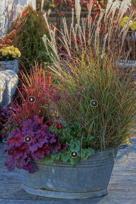 Winter Pots Outdoor Front Doors, Geranium Planters, Pots Ideas, Fine Gardening Magazine, Garden Magic, Winter Planter, Porch Flowers, Fall Containers, Container Garden Design