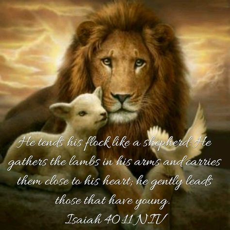 I Am The Good Shepherd, Lion Of Judah Jesus, Good News Bible, Lion And Lamb, Belief In God, Jesus Christ Artwork, Good Shepherd, Jesus Christ Images, The Good Shepherd