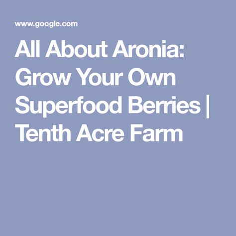 All About Aronia: Grow Your Own Superfood Berries | Tenth Acre Farm Aronia Berries, Edible Landscape, Edible Landscaping, Food System, Food Forest, Clay Soil, Rain Garden, State Of Florida, Edible Garden