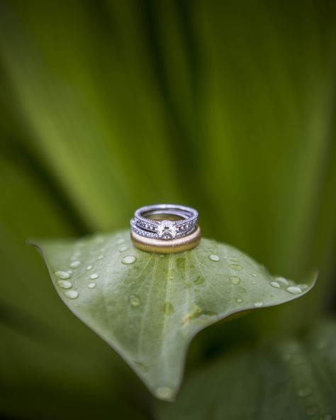 Wedding Accessories Photography, Engagement Ring Photography, Ring Photoshoot, Rings Photography, Wedding Photography Detail Shots, Nature Wedding Ring, Wedding Ring Photography, Wedding Ring Shots, Flower Backdrop Wedding