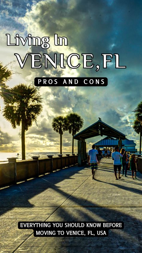 Planning a move to Venice, FL, USA? Find out the important pros and cons before making your decision in this complete guide! Venice Beach Florida, Living In Puerto Rico, Planning A Move, Venice Florida, Florida City, Gorgeous Scenery, Secluded Beach, Gulf Of Mexico, Venice Beach