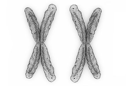 X X chromosomes (female) Chromosome Aesthetic, X Chromosome, Read Sign, Thinking Man, Part Time Jobs, Life Facts, Just Go, Cool Girl