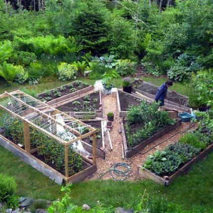 http://www.bengreenfieldfitness.com/2013/01/227-how-to-grow-your-own-superfoods/ Wood Vegetable Garden, Forest Food, Garden Setup, Bed Layout, Plantarea Legumelor, Rectangular Garden, Garden Bed Layout, Garden Layouts, Nice Garden