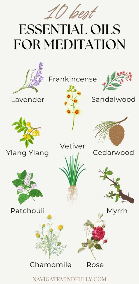 best essential oils for meditation Diy Essential Oil Blends, Top Essential Oils, Yl Oils, Plant Based Whole Foods, Diy Essentials, Best Meditation, Herbal Healing, Energy Medicine, Calming Scents