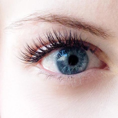 She's Not Wearing Any Mascara In This Photo! How To, Here: http://intothegloss.com/2014/02/natural-eye-makeup-look/ Eyelash Extensions Before And After, Beauty Hacks Eyelashes, Natural Glowing Skin, Mascara Waterproof, Mascara Tips, Beautiful Lashes, How To Apply Mascara, Fake Lashes, Natural Eyes