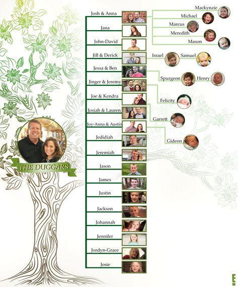 Updated Duggars Family Tree Duggar Family Tree, Family Tree Graphic, Vinyl Tree Wall Decal, Dugger Family, Trendy Family, Duggar Family, 19 Kids And Counting, 19 Kids, Bates Family