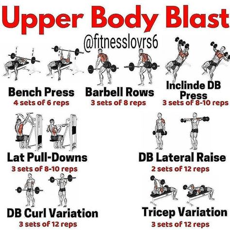 [New] The 10 Best Workout Ideas Today (with Pictures) -  Please follow @nirmala_dheeraj  for more great content...   #fitness#gym#bbg#body#bodybuilding#muscle#gains#beastmode#m#fitfam#fitnessmotivation#workout#supplements#nutrition#shredded#fit#bodybuilder#eatclean#goals#change#transformation#motivation#health#life#look#leanmuscle#stength#protiens Upper Body Workout At Gym, Upper Body Workout Gym, Fitness Education, Workout At Gym, Barbell Row, Workout Splits, Barbell Workout, Gym Workouts For Men, Gym Tips