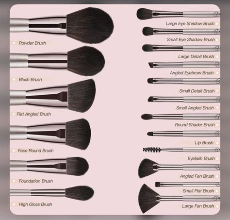 Eye Makeup Brushes Guide, Melanin Makeup, Makeup Brush Uses, Skin Tone Makeup, Eyebrows Makeup, Essence Makeup, Makeup Order, Makeup Brushes Guide, Simple Makeup Tips