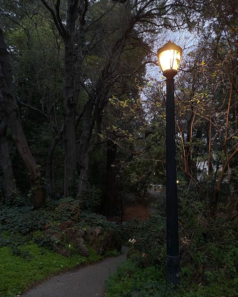 California Fall Aesthetic, Berkley Aesthetic, California Winter Aesthetic, Berkeley California Aesthetic, Uc Berkeley Aesthetic, Berkeley Aesthetic, Rainy Suburbs Aesthetic, Berkeley Law, California Autumn