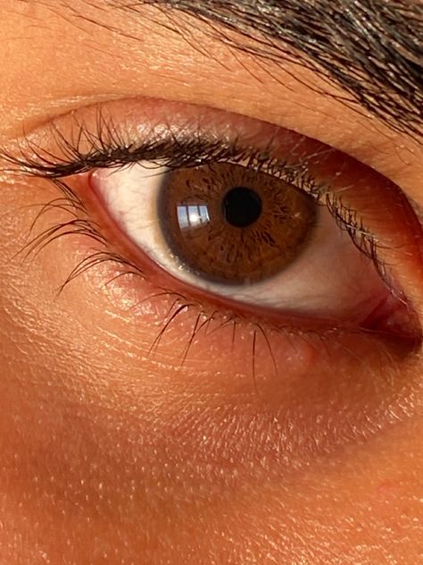 Pure Brown Eyes, Brown Eye Guy, Light Brown Eyes Men, Boys Eyes Aesthetic, Brown Eyes Aesthetic Boy, Nut Brown Eyes, Brown Eyes Guy, Brown Eyes Men, Chestnut Brown Eyes