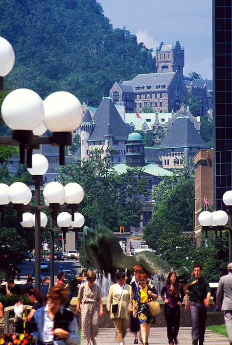 McGill College ave. View of Mont-Royal Mont Royal Montreal, Mount Royal, Travel Canada, O Canada, Of Montreal, Montreal Quebec, Quebec City, Montreal Canada, Quebec Canada