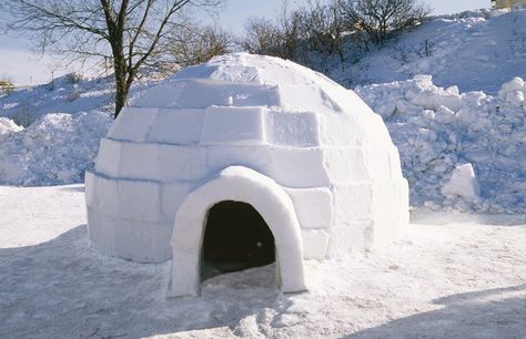 An igloo, also known as snow house, is a form of shelter built entirely of snow. The primary material used in constructing an igloo is compressed snow since solid ice is known to be a poor insulator. The compressed snow gets shaped into blocks. These blocks are then arranged to form a dome. On the inside, the snow house is terraced so people sleep at the uppermost level, leaving the bottom middle area for working and setting the fire. How does an igloo Keep you Warm? Igloo Building, Igloo House, Snow Fort, Inuit People, Pole Nord, Snow Sculptures, Brick Molding, Building Techniques, Family Handyman