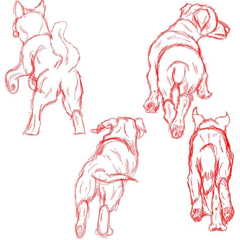 Dog From Behind Drawing, Dog Running Reference, Dog Barking Drawing, Dog Walking Drawing, Dog Running Drawing, Sketches Dog, Drawing Of Dog, Dog Sketches, How To Draw Stairs