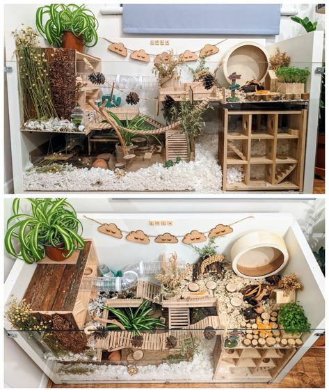 Mouse Enclosure Ideas, Mouse Cage Ideas, Hamster Cage Ideas, Kandang Hamster, Hamster Bin Cage, Hamster Diy Cage, Cool Hamster Cages, Hedgehog Cage, Gerbil Cages