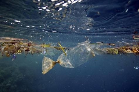 A new floating garbage patch discovered in the South Pacific. Rather than plastic bottles and bags, this patch — larger than the state of Texas — is made of billions of tiny particles | Mercury News Plymouth University, Marine Debris, Bawah Air, Oceans Of The World, Plastic Pollution, Exeter, In The Ocean, Plastic Waste, Plastic Bags