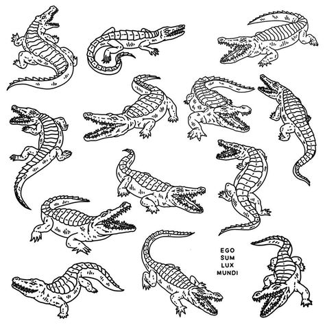 Traditional Tattoo Outline, Crocodile Tattoo, Tree Tattoo Back, Traditional Tattoo Art, Painted Boards, Tattoo Outline, Tree Tattoo, Flash Tattoo, Artsy Fartsy