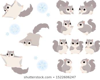 Flying Squirrel Illustration, Squirrel Fursona, Flying Squirrel Drawing, Cute Flying Squirrel, Japanese Flying Squirrel, Squirrel Cute, Squirrel Illustration, Squirrel Art, Flying Squirrel