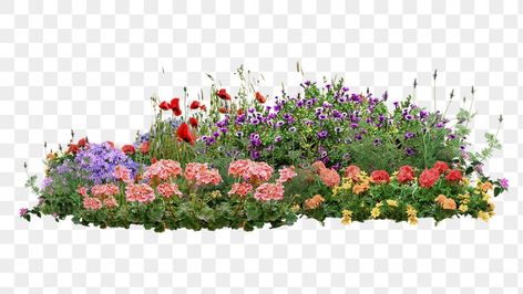 Garden Design Wallpaper, Bushes With Flowers, Bush With Flowers, Bushes Png, Bush Of Flowers, Flower Png Transparent Background, Flowers Bush, Garden Stickers, Flower Bushes