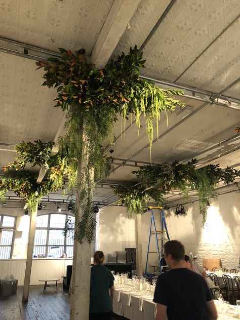 Hanging Foliage Installation, Foliage Ceiling Installation, Foliage Ceiling, Holiday Installation, Hanging Foliage, Hanging Ferns, Hanging Greenery, Foliage Arrangements, Green Event