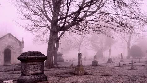 Pink Graveyard Aesthetic, Coffin Aestethic, Pink Graveyard, Pink Gothic Aesthetic, Pink Goth, Gothic Wallpaper, Normal Map, Cute Headers, Gothic Aesthetic