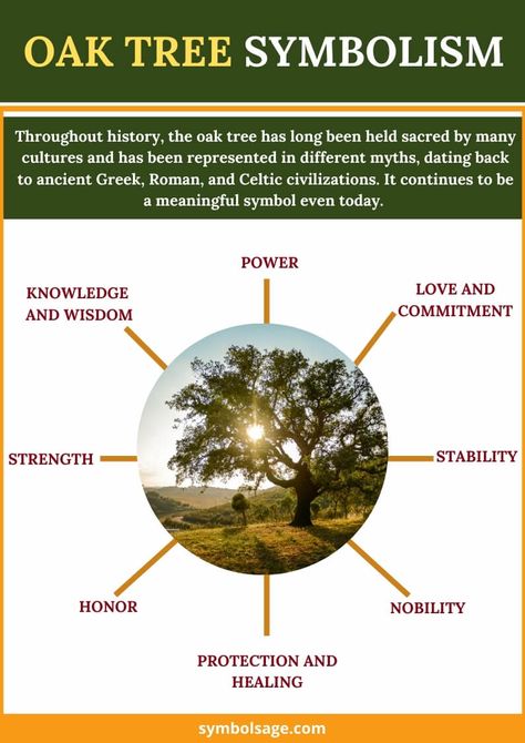 What do oak trees symbolize? Here's a closer look. Tree Symbolism, Oak Tree Aesthetic, Oak Tree Symbolism, Celtic Oak Tree, Small Wave Tattoo, Tree Quotes, Flower Symbol, Old Oak Tree, Celtic Tree Of Life