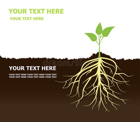 Tree with Roots Plant roots Soil. Tree with Roots under Soil Vector , Plant root , #spon, #Plant, #Roots, #Tree, #Vector, #Soil #ad Soil Illustration, Roots Quotes, Roots Illustration, Agriculture Photography, Calendar Inspiration, Tree With Roots, Roots Tattoo, Root Structure, Tree Vector