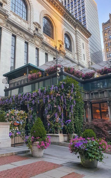 New York, park, flowers, aesthetic, sunset New York Park, Park Aesthetic, New York Summer, Vintage Architecture, Aesthetic Sunset, Flowers Aesthetic, Flower Field, Park City, Summer Sun