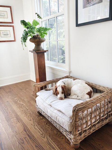 Puppy Bed Ideas, Round Dog Bed, Beautiful Puppies, Covered Dog Bed, Dog Quilts, Pillow Top Mattress, Linen Quilt, Turned Wood, Dog Products