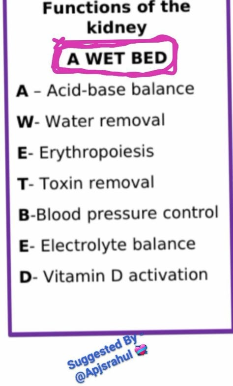 How To Study Ncert Biology, Biology Pneumonics, Fafo Shirt Design, Breathing And Exchange Of Gases Notes, Medical Pneumonics, Medtech Student, Biology Flashcards, Medical Terminology Study, Learn Biology