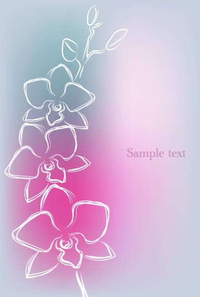 Orchid Doodle Simple, Orchid Doodle, Blue Orchid Tattoo, Orchid Vector, Purple Orchid Tattoo, Orchid Illustration, Orchid Drawing, Branch Drawing, Orchid Design