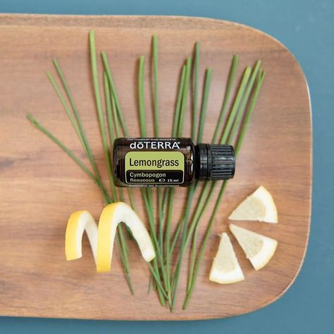 dōTERRA Europe (@doterraeurope) • Instagram-foto's en -video's Lemongrass Witchcraft, Lemongrass Diffuser Blend Doterra, Benefits Of Lemongrass Essential Oil, Doterra Lemongrass, Doterra Kid, Lemongrass Paste, Quirky Cooking, Skin Care Benefits, What Are Essential Oils