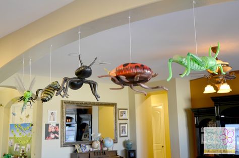 Awesome hanging inflatable insects for your preschool classroom! Link to purchase in party post. #creepycrawlyparty Insects Party Ideas, Bug Themed Birthday Party Favors, Creepy Crawly Party, Bugs Party Decorations, Insect Party Decorations, Insect Birthday Party Decorations, Bug Balloon Arch, Bug Themed Birthday Party Decorations, Bug Party Activities