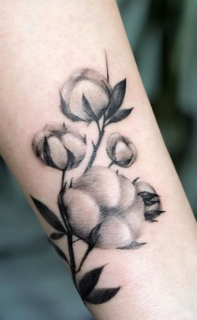 Cotton Tattoo Design, Cottonwood Tree Tattoo, Cotton Tattoo, Flowers And Roots Tattoo, Cotton Flower Tattoo, Flower Tattoo With Roots, Cotton Tattoo Flower, Cotton Plant Tattoo, Farmer Tattoo