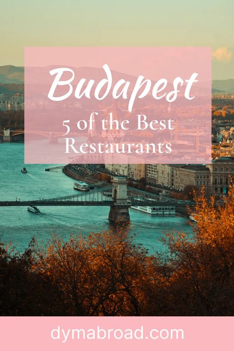 Budapest Best Restaurants, Best Restaurants In Budapest, Budapest Restaurant, Hungarian Mushroom Soup, Traditional Chinese Food, Amazing Restaurants, Best Chinese Food, Viking Cruises Rivers, Hungary Travel