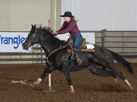 Teaching a Horse to Pole Bend - AQHA Black Barrel Horse, Horse Eventing, Pole Excercise Horses, Ground Pole Exercises For Horses, Polework Exercises For Horses, Pole Bending Horse, Ground Pole Work For Horses, Barrel Racing Training, Pole Bending