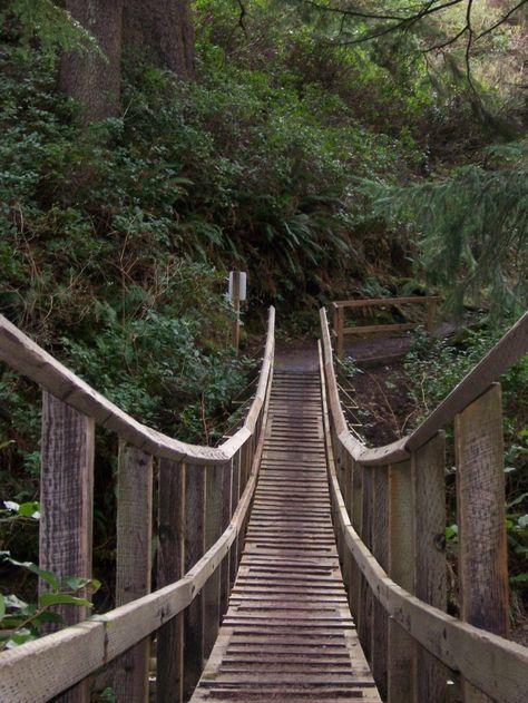 Oswald State Park, Oregon Coast Oregon Hikes, Ecola State Park, Explore Oregon, Oregon Vacation, Healing Abilities, Oregon Trip, Beautiful Oregon, Travel Oregon, Wooden Bridge