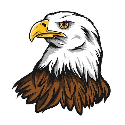 Bald Eagle Head Drawing, Egal Painting, Bald Eagle Drawing Easy, Eagle Face Drawing, Cute Eagle Drawing, Eagle Painting Easy, Philippine Eagle Drawing, Falcon Cartoon, Eagle Head Drawing