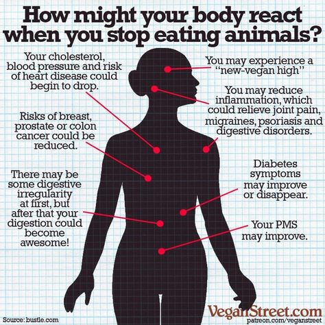 Vegan Street on Instagram: “Interesting things can happen to your body when you turn vegan. For most folks, these tend to be pretty positive, but everyone has a…” Reasons To Go Vegan, Vegan Facts, How To Become Vegan, Keto Vegan, Why Vegan, Vegan Quotes, Vegan Humor, Vegan Inspiration, Vegan Living