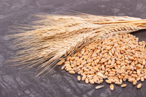 Rye or wheat grains and ears of cereal by ratmaner. Rye or wheat grains and ears of cereal on dark background #AD #grains, #ears, #Rye, #wheat Rye Plant, Modern Business Cards Design, Ear Parts, Rye, Wheat, Corn, Cereal, Almond, Canning